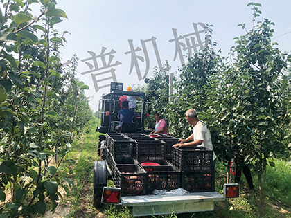 丝瓜视频污片下载